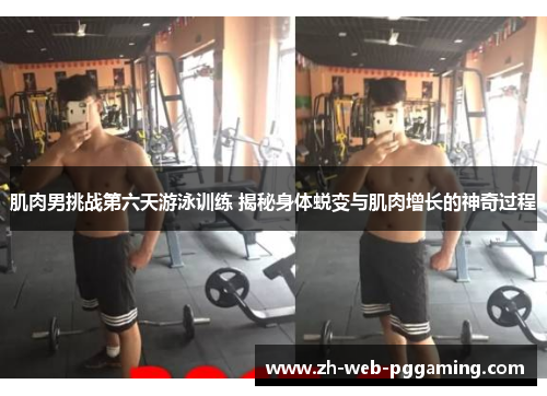 肌肉男挑战第六天游泳训练 揭秘身体蜕变与肌肉增长的神奇过程