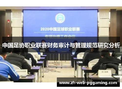 中国足协职业联赛财务审计与管理规范研究分析 中国足协职业联赛财务审计与管理规范研究分析